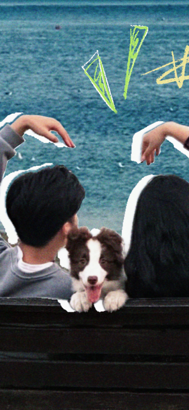 Cropped Image